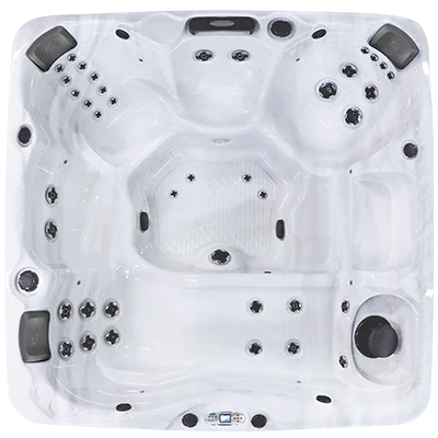 Avalon EC-840L hot tubs for sale in Athens Clarke