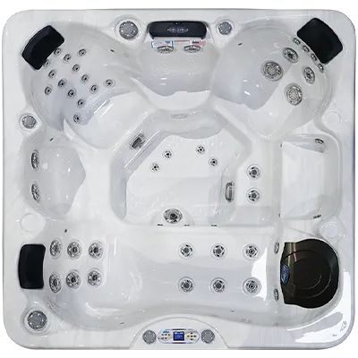 Avalon EC-849L hot tubs for sale in Athens Clarke