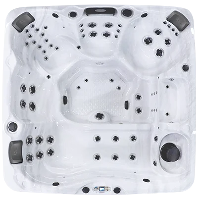 Avalon EC-867L hot tubs for sale in Athens Clarke